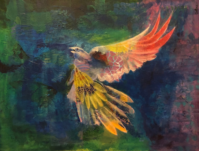 Allo le vivant – 2024