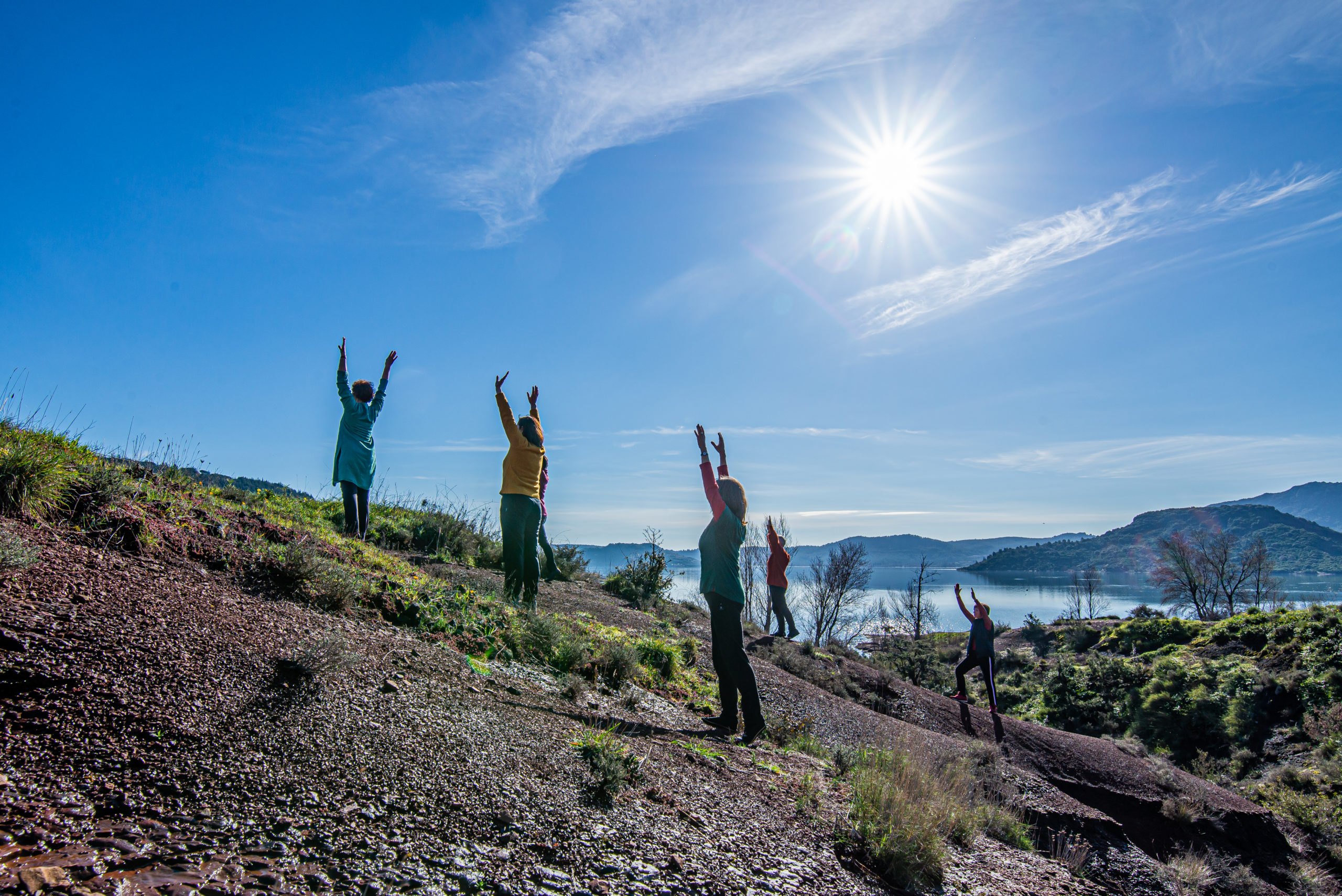 Cycle Qi Gong « De nos Racines aux Étoiles »